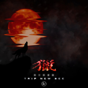 欧美大妞插插插
