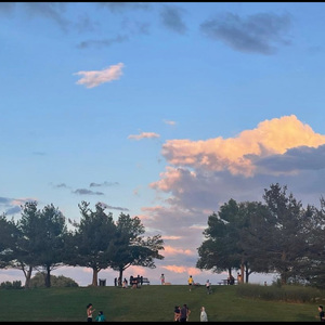 欧美大妞插插插
