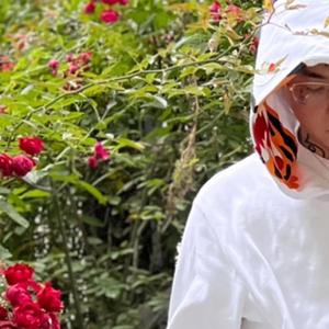 欧美大妞插插插
