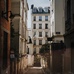 欧美大妞插插插
