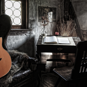 欧美大妞插插插
