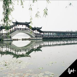 欧美大妞插插插
